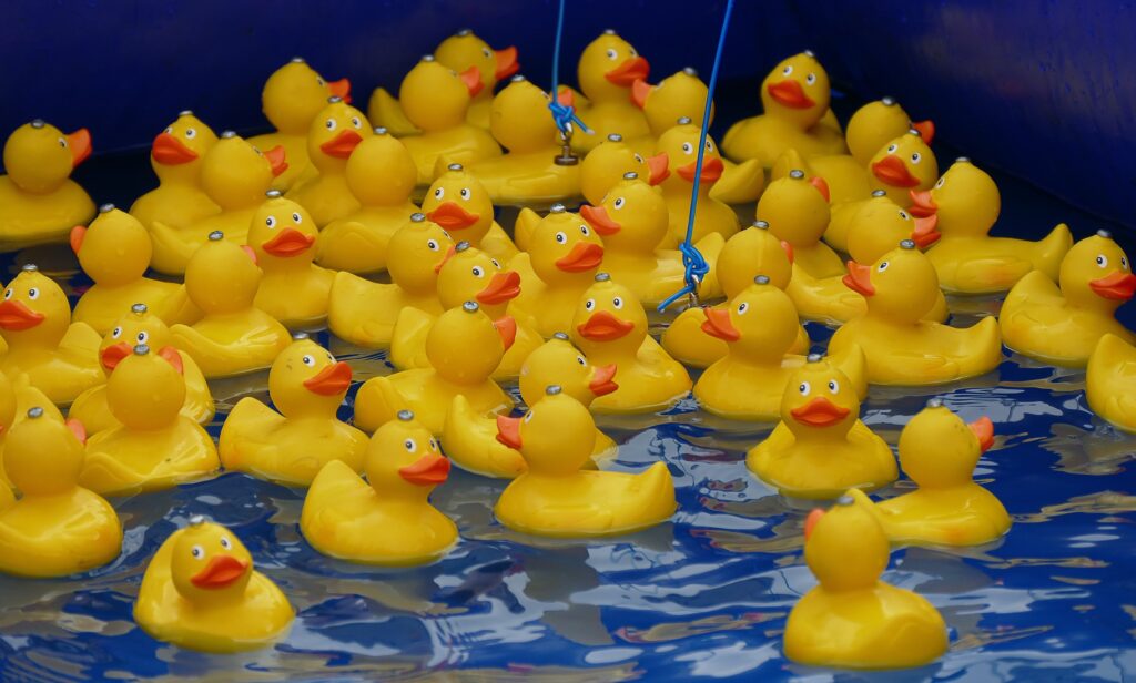 Chicago Ducky Derby A Quirky Spectacle for a Worthy Cause