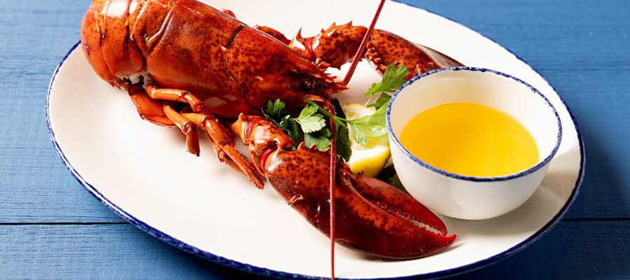 Legal Sea Foods Lobster and Oyster Specials