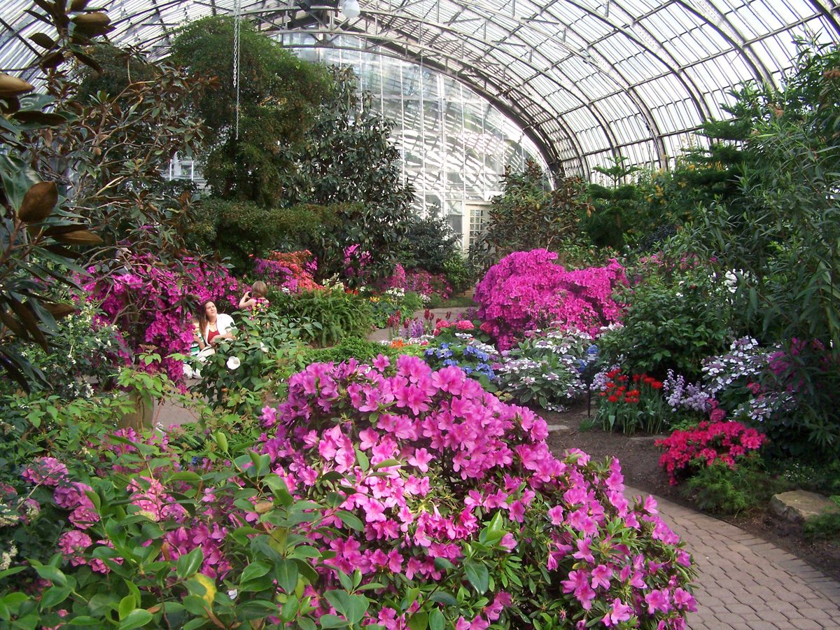 Spring Flowers in Chicago